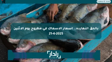 بالحق النهاردة.. أسعار الأسماك في مطروح يوم الإثنين 21-4-2025